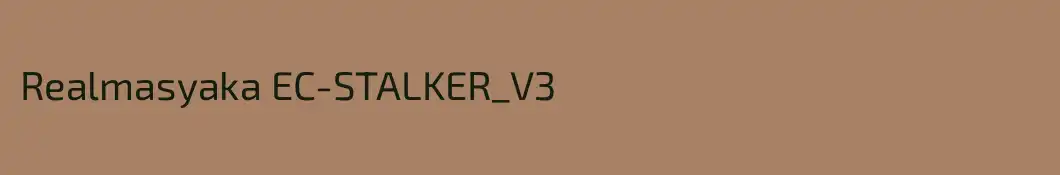 Realmasyaka EC-STALKER_V3